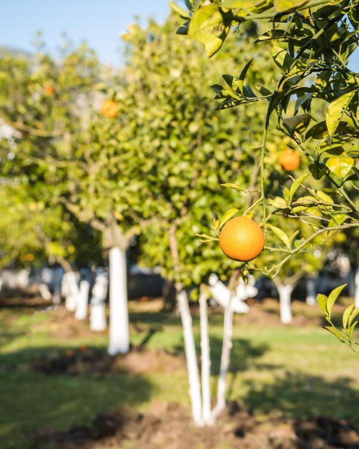 Oase Garden Hotel Çıralı Buitenkant foto